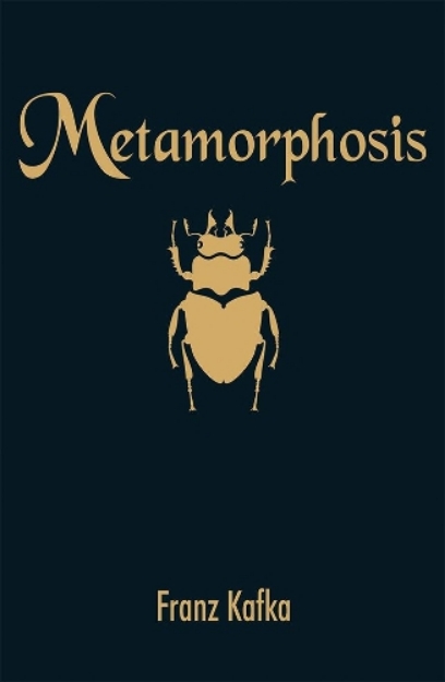 Picture of Metamorphosis