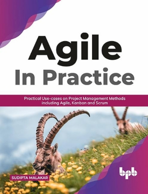 Picture of Agile Methodologies In-Depth: Delivering Proven Agile, SCRUM and Kanban Practices for High-Quality Business Demands (English Edition)