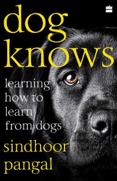 Picture of Dog Knows: Learning How to Learn from Dogs