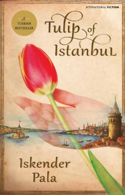 Picture of Tulip of Istanbul