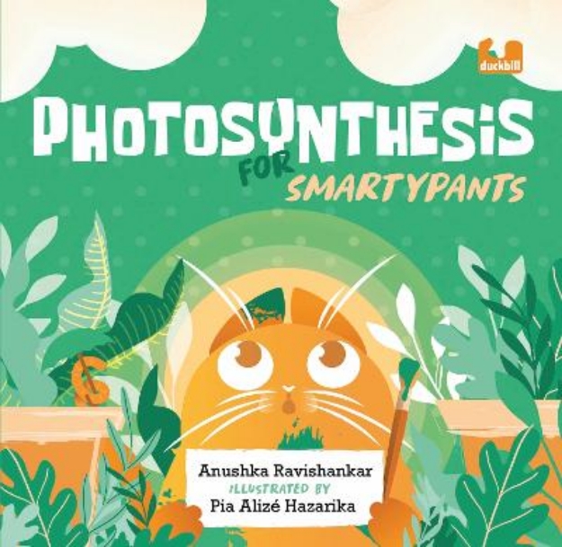 Picture of Photosynthesis for Smartypants