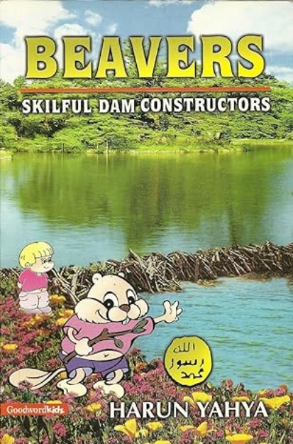 Picture of Beavers: Skilful Dam Constructors