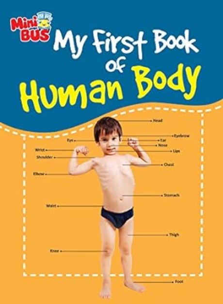 Picture of My First Book of Human Body