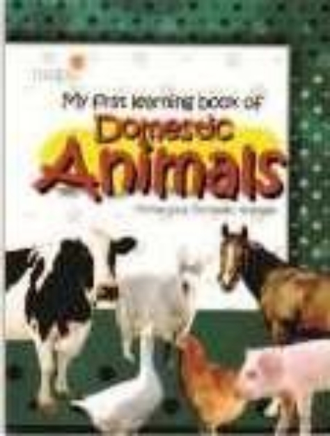 Picture of My First Learning Book of Domestic Animals