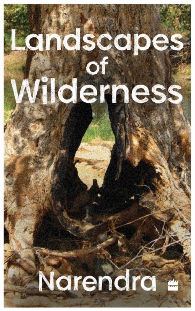 Picture of Landscapes Of Wilderness